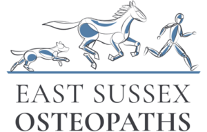 East Sussex Osteopaths